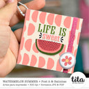 Watermelon Summer - Postits & Balinhas