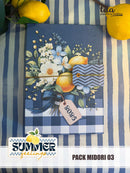 Summer Feelings - Combo Midoris 1, 2 e 3 + Video Aula
